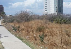 Foto de terreno comercial en renta en Centro Sur, Querétaro, Querétaro, 22465754,  no 01