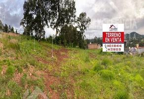 Foto de terreno habitacional en venta en  , ejido jesús del monte, morelia, michoacán de ocampo, 0 No. 01