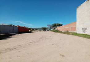 Foto de terreno comercial en renta en  , ejido lo de juárez, irapuato, guanajuato, 22103239 No. 01