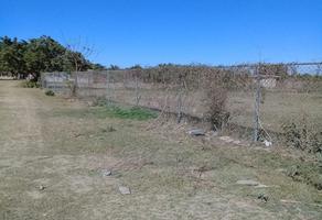 Foto de terreno comercial en venta en ejido yebavito , yebavito, navolato, sinaloa, 0 No. 01