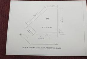 Foto de terreno habitacional en venta en eucalipto 66, los álamos, gómez palacio, durango, 24004977 No. 01