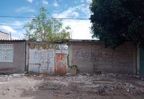 Foto de terreno habitacional en venta en Laguna de Chiconautla, Acolman, México, 25223833,  no 01