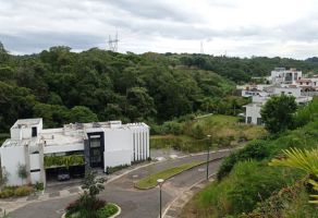 Foto de terreno habitacional en venta en Ampliación El Olmo, Xalapa, Veracruz de Ignacio de la Llave, 25280027,  no 01