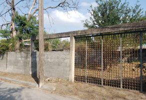 Foto de terreno habitacional en venta en Garcia Rojas, Reynosa, Tamaulipas, 25004708,  no 01