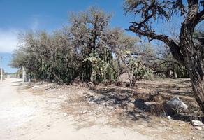 Inmuebles en venta en Ahualulco, San Luis Potosí 