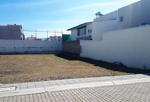 Foto de terreno habitacional en venta en fray sebastián de gallegos , villa antigua, corregidora, querétaro, 0 No. 01