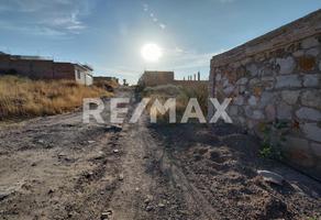 Foto de inmueble en Guanacastle, Col. Del Bosque C.P. 34108, Durango