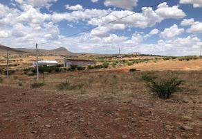 Foto de terreno habitacional en venta en  , hidalgo del parral centro, hidalgo del parral, chihuahua, 0 No. 01