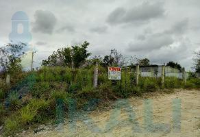 Foto de terreno habitacional en venta en  , infonavit las granjas, tuxpan, veracruz de ignacio de la llave, 8453177 No. 01