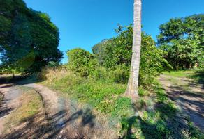 Foto de terreno habitacional en venta en  , isla de juana moza, tuxpan, veracruz de ignacio de la llave, 0 No. 01