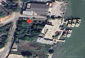 Foto de terreno habitacional en venta en  , isleta perez, tampico, tamaulipas, 0 No. 01