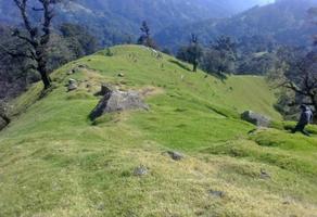 Foto de inmueble en , Col. Jilotepec C.P. 91380, Jilotepec