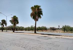 Foto de terreno habitacional en venta en juarez , nueva california, torreón, coahuila de zaragoza, 0 No. 01