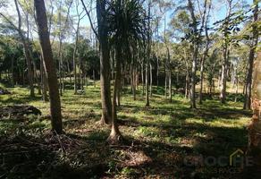 Foto de inmueble en , Col. La Concepción C.P. 91382, Jilotepec