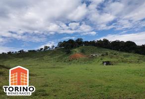 Foto de inmueble en  , Col. La Martinica C.P. 91305, Banderilla