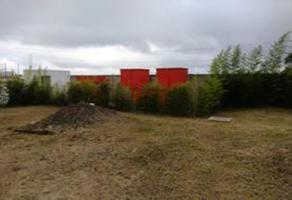 Foto de terreno habitacional en venta en  , la pradera, xalapa, veracruz de ignacio de la llave, 25198003 No. 01