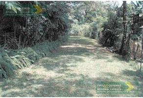 Foto de inmueble en  , Col. Las Fuentes C.P. 91098, Xalapa