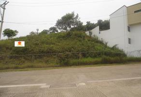 Foto de inmueble en  , Col. Las Margaritas C.P. 91095, Xalapa