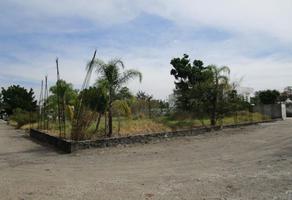 Foto de terreno habitacional en venta en lomas de jiutepec 1, lomas de jiutepec, jiutepec, morelos, 18854659 No. 01