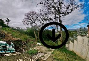 Foto de inmueble en  , Col. Lomas Del Paraíso C.P. 91095, Xalapa