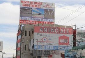 mujeres quieren hombre metepec mujeres quieren hombre metepec