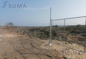 Foto de terreno habitacional en venta en  , luis donaldo colosio, altamira, tamaulipas, 0 No. 01