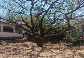 Foto de inmueble en Manuel Ávila Camacho #0, Col. La Pradera C.P. 62170, Cuernavaca