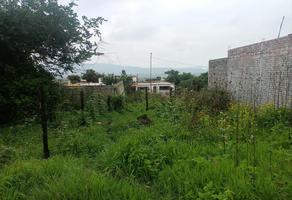 Foto de terreno industrial en venta en  , morelia centro, morelia, michoacán de ocampo, 25312853 No. 01