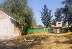 Foto de terreno habitacional en venta en nativitas , tepexpan, acolman, méxico, 10729343 No. 01