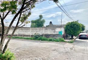 Foto de terreno habitacional en venta en norte , concepción, valle de chalco solidaridad, méxico, 0 No. 01