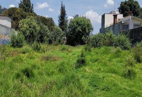 Foto de terreno habitacional en venta en oyamel , lomas de san bernabé, la magdalena contreras, df / cdmx, 0 No. 01