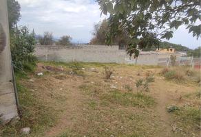 Foto de terreno habitacional en venta en paraje , san salvador cuauhtenco, milpa alta, df / cdmx, 0 No. 01