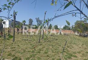 Foto de inmueble en Paseo del Molino, Col. Corral de Barrancos C.P. 20900, Jesús María