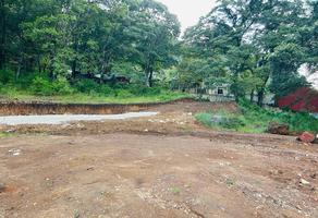 Foto de inmueble en PERIFERICO SUR, Col. Explanada de San Felipe El Carmen C.P. 29260, San Cristóbal de las Casas