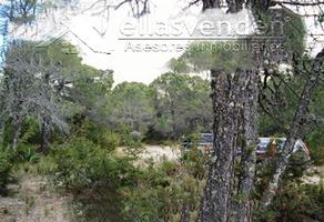 Foto de terreno habitacional en venta en pino real 0, sierra hermosa, arteaga, coahuila de zaragoza, 25163580 No. 01
