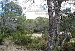Foto de terreno habitacional en venta en pino real 0, sierra hermosa, arteaga, coahuila de zaragoza, 25163691 No. 01