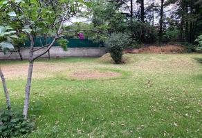 Foto de terreno habitacional en venta en pipico , san nicolás totolapan, la magdalena contreras, df / cdmx, 0 No. 01
