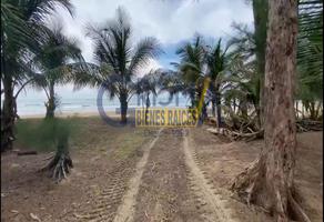 Foto de terreno habitacional en venta en  , playa norte, tuxpan, veracruz de ignacio de la llave, 23361304 No. 01