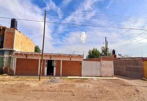 Casas en venta en Villa de Reyes, San Luis Potosí 