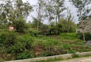 Foto de terreno habitacional en venta en prolongacion paloma , lago de guadalupe, cuautitlán izcalli, méxico, 25016950 No. 01