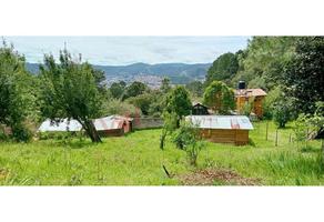 Foto de terreno habitacional en venta en quetzal , los alcanfores, san cristóbal de las casas, chiapas, 0 No. 01