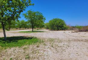 Foto de inmueble en Raúl de la Peña, Col. El Toreo C.P. 25298, Saltillo