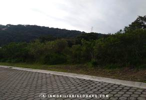Foto de terreno habitacional en venta en real de vallescondido , club de golf valle escondido, atizapán de zaragoza, méxico, 16099098 No. 01