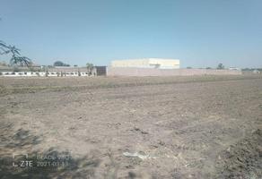 Foto de inmueble en  , Col. San Antonio de los Horcones C.P. 20900, Jesús María