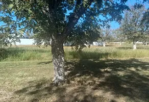 Foto de inmueble en san armando #0, Col. San Armando C.P. 27400, Torreón