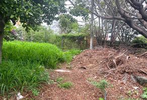 Foto de inmueble en  , Col. San Cristóbal C.P. 62230, Cuernavaca