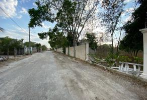 Foto de terreno habitacional en venta en  , san francisco, campeche, campeche, 0 No. 01