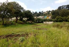 Foto de terreno habitacional en venta en  , san miguel ameyalco, lerma, méxico, 3531054 No. 01