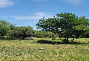 Foto de inmueble en , Col. San Roque C.P. 67280, Juárez