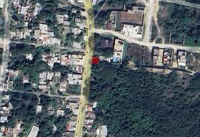 Foto de terreno habitacional en venta en  , santa emilia, poza rica de hidalgo, veracruz de ignacio de la llave, 0 No. 01